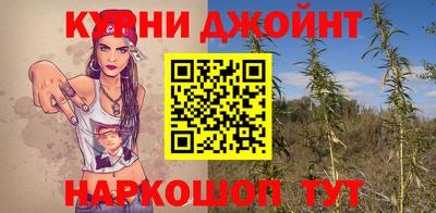 дживик Ачхой-Мартан